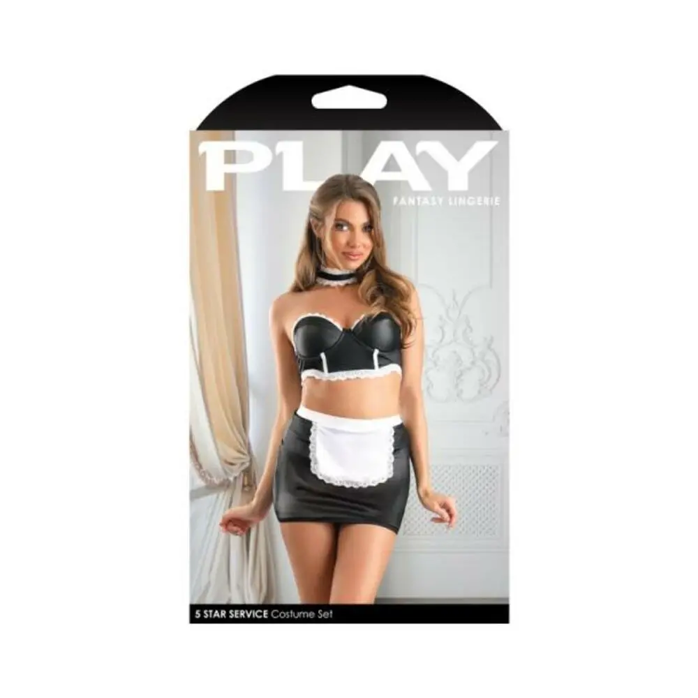 Fantasy Lingerie Play 5-star Service Wetlook Bustier, Adjustable Open Back Spanking Skirt, G-string - Image 3