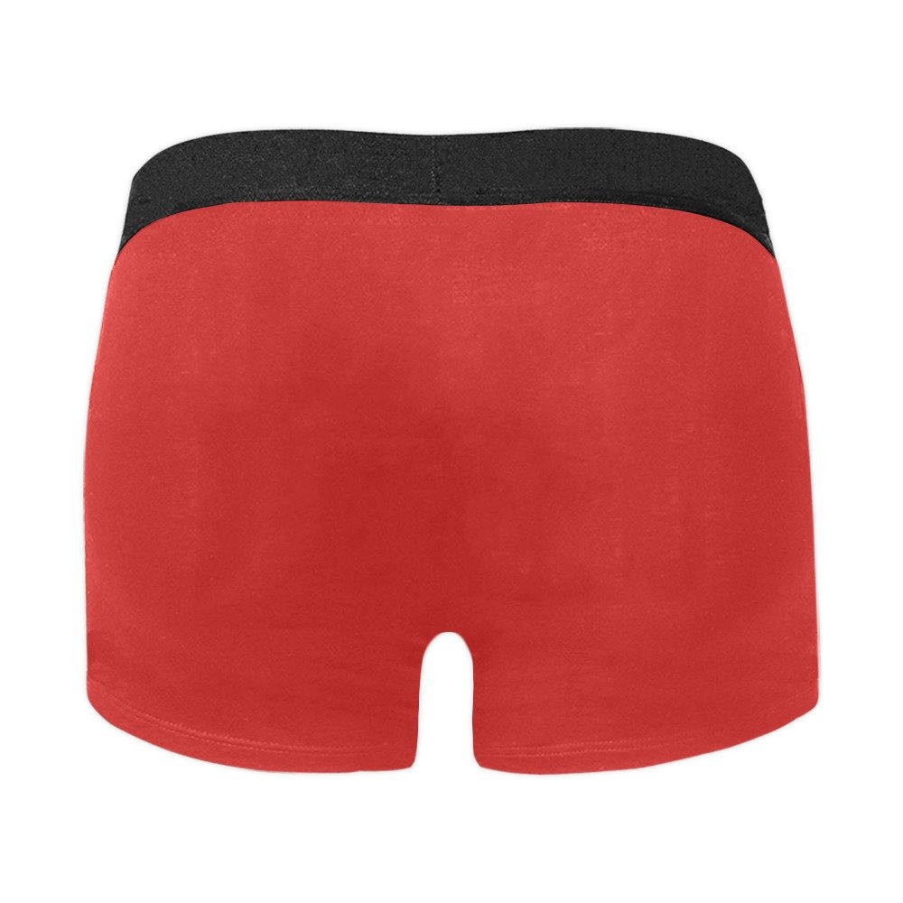 Men's Warning Boxer Briefs (Model L10)(New) - Image 12