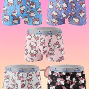 5pcs Sanrio Boxer Briefs